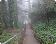 Sausalito stairs